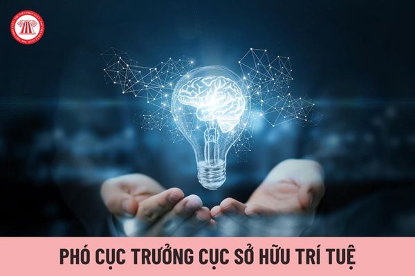 Phó Cục trưởng Cục Sở hữu trí tuệ do ai có thẩm quyền bổ nhiệm?