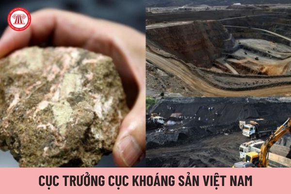 Cục trưởng Cục Khoáng sản Việt Nam chịu trách nhiệm trước ai?