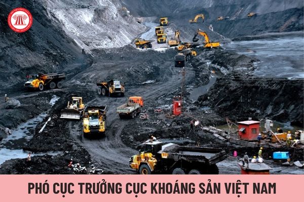 Có tối đa bao nhiêu Phó Cục trưởng Cục Khoáng sản Việt Nam?