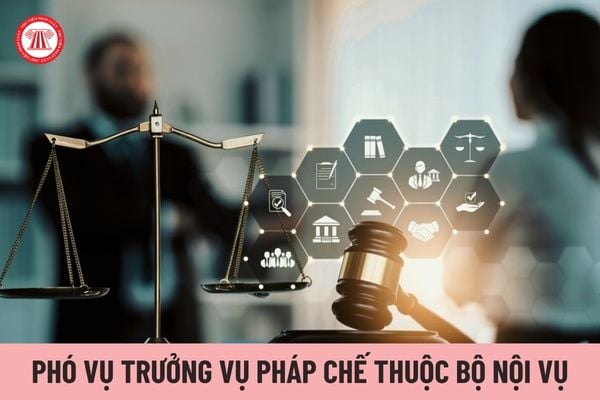 Phó Vụ trưởng Vụ Pháp chế thuộc Bộ Nội vụ thực hiện nhiệm vụ chuyên môn do ai phân công?