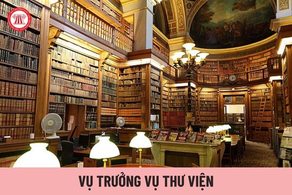 Vụ trưởng Vụ Thư viện chịu trách nhiệm trước ai?