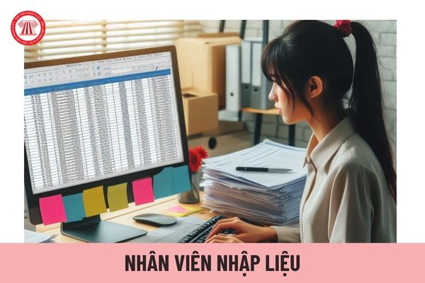 Nhân viên nhập liệu có nhiệm vụ gì? Kỹ năng cần thiết của nhân viên nhập liệu là gì?