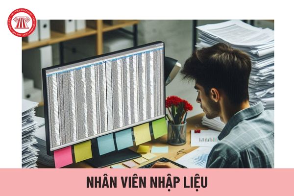 Nhân viên nhập liệu là gì? Nhân viên nhập liệu có các nhiệm vụ cụ thể gì? 