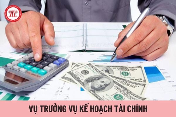 Vụ trưởng Vụ Kế hoạch - Tài chính thuộc Bộ Thông tin và Truyền thông chịu trách nhiệm trước ai?