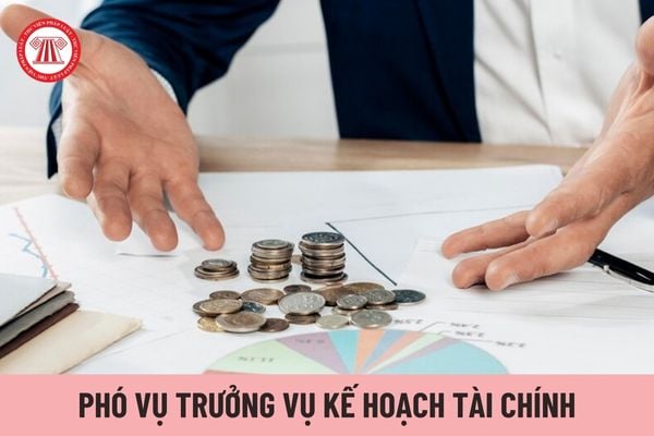 Phó Vụ trưởng Vụ Kế hoạch - Tài chính thuộc Bộ Thông tin và Truyền thông giúp Vụ trưởng những gì?