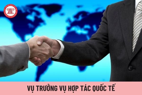 Vụ trưởng Vụ Hợp tác quốc tế thuộc Bộ Thông tin và Truyền thông có quyền quy định nhiệm vụ của công chức trong Vụ không?