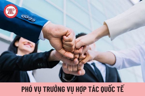 Phó Vụ trưởng Vụ Hợp tác quốc tế thuộc Bộ Thông tin và Truyền thông giúp Vụ trưởng những vấn đề gì?