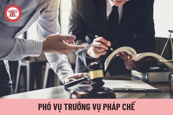 Phó Vụ trưởng Vụ Pháp chế thuộc Bộ Thông tin và Truyền thông giúp Vụ trưởng những vấn đề gì?