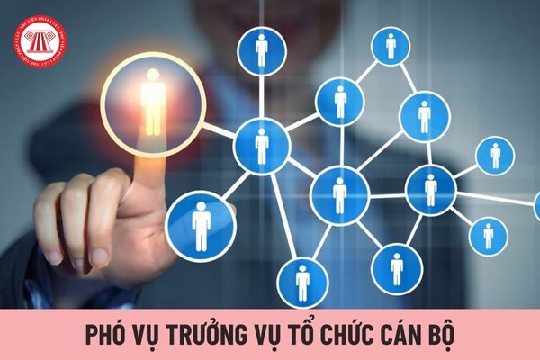 Phó Vụ trưởng Vụ Tổ chức cán bộ thuộc Bộ Thông tin và Truyền thông giúp Vụ trưởng vấn đề gì?