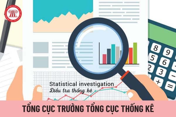 Tổng cục trưởng Tổng cục Thống kê do ai có thẩm quyền bổ nhiệm?