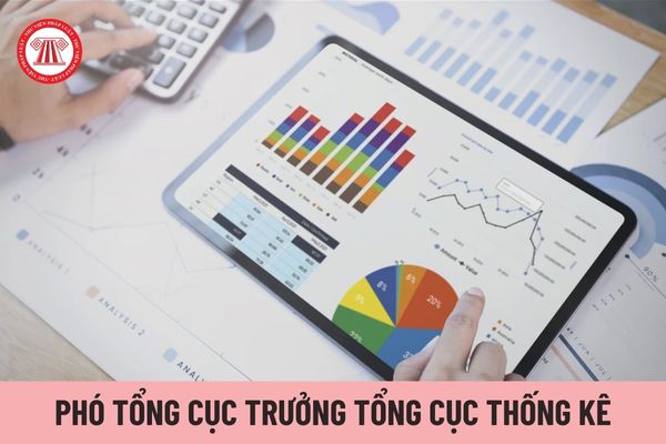 Có tối đa bao nhiêu Phó Tổng cục trưởng Tổng cục Thống kê?