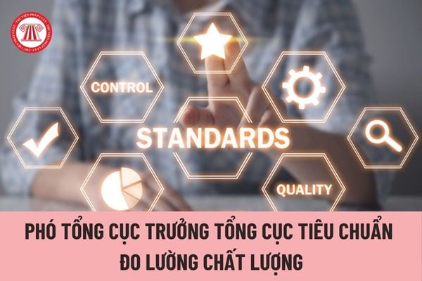 Phó Tổng cục trưởng Tổng cục Tiêu chuẩn Đo lường Chất lượng chịu trách nhiệm trước Tổng cục trưởng về vấn đề gì?