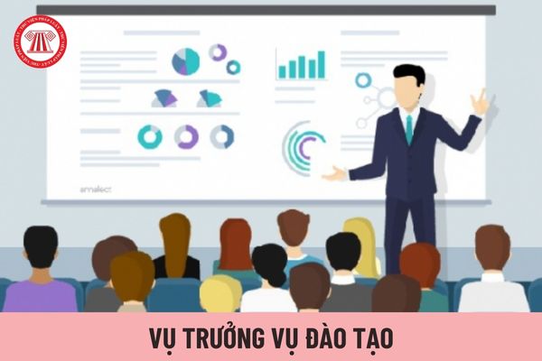 Vụ trưởng Vụ Đào tạo chịu trách nhiệm trước ai?