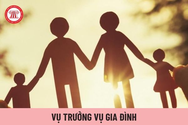 Vụ trưởng Vụ Gia đình có trách nhiệm gì?