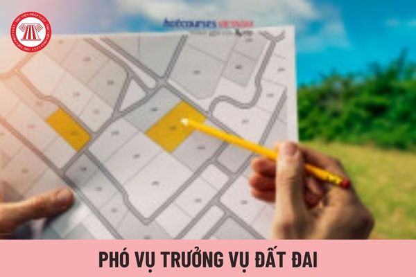 Phó Vụ trưởng Vụ Đất đai chịu trách nhiệm trước ai?