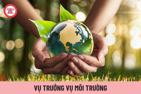 Vụ trưởng Vụ Môi trường chịu trách nhiệm trước ai?