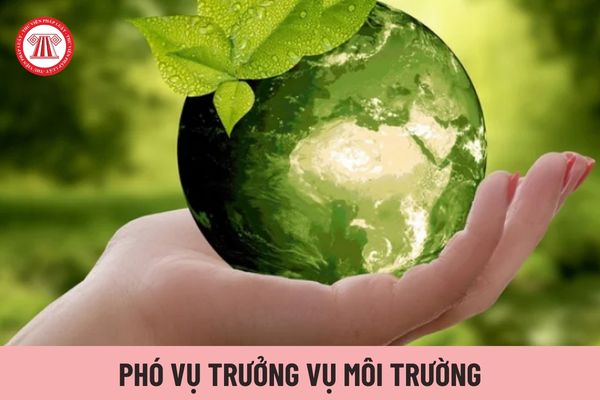 Có tối đa bao nhiêu Phó Vụ trưởng Vụ Môi trường?