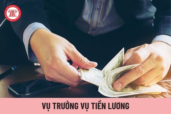 Ai có thẩm quyền bổ nhiệm Vụ trưởng Vụ Tiền lương?