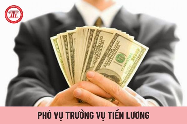 Phó Vụ trưởng Vụ Tiền lương giúp Vụ trưởng phụ trách vấn đề gì?