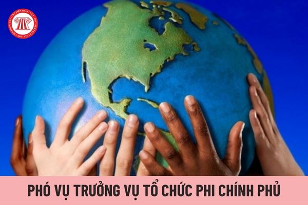 Ai có thẩm quyền bổ nhiệm Phó Vụ trưởng Vụ Tổ chức phi chính phủ?