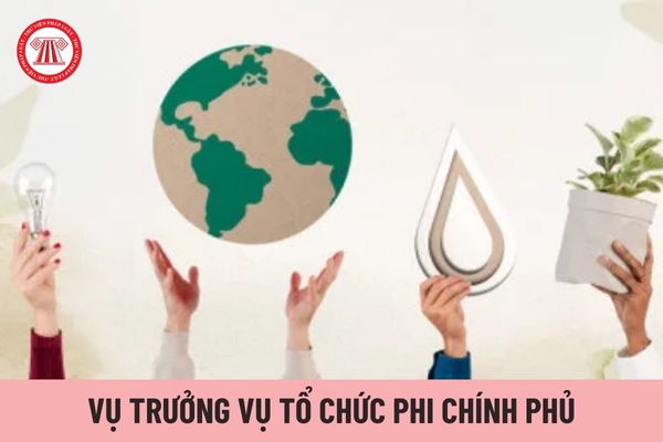 Vụ trưởng Vụ Tổ chức phi chính phủ có quyền ủy nhiệm cho Phó Vụ trưởng điều hành công tác, giải quyết công việc của Vụ trong trường hợp nào?