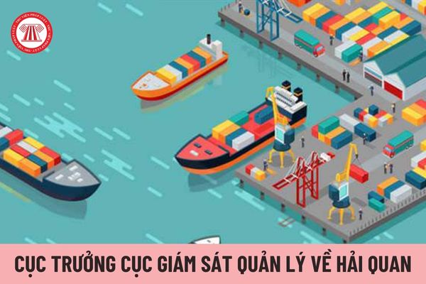 Cục trưởng Cục Giám sát quản lý về hải quan chịu trách nhiệm trước ai?