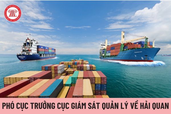 Việc bổ nhiệm Phó Cục trưởng Cục Giám sát quản lý về hải quan thực hiện như thế nào?