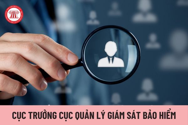 Cục trưởng Cục Quản lý giám sát bảo hiểm chịu trách nhiệm trước ai?