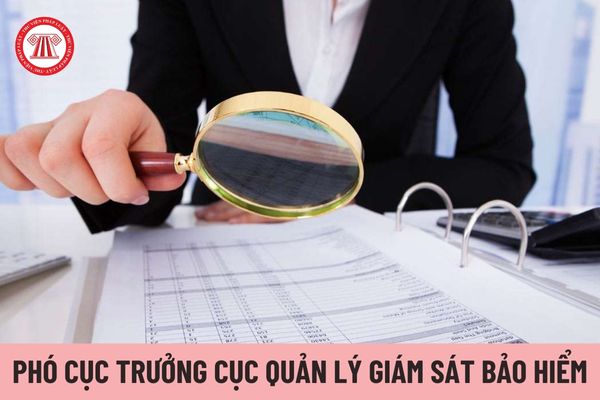 Có tối đa bao nhiêu Phó Cục trưởng Cục Quản lý giám sát bảo hiểm?