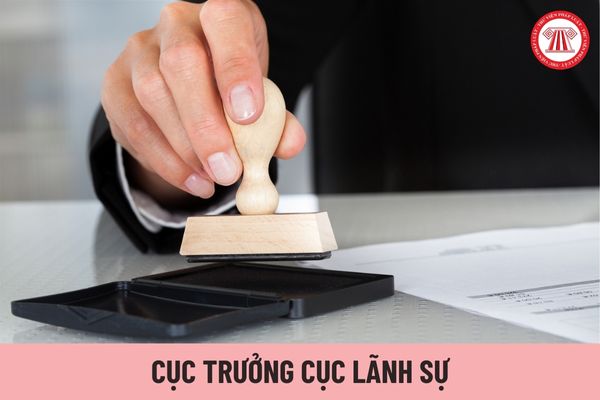 Cục trưởng Cục Lãnh sự được nhận mức hệ số phụ cấp chức vụ lãnh đạo là bao nhiêu?