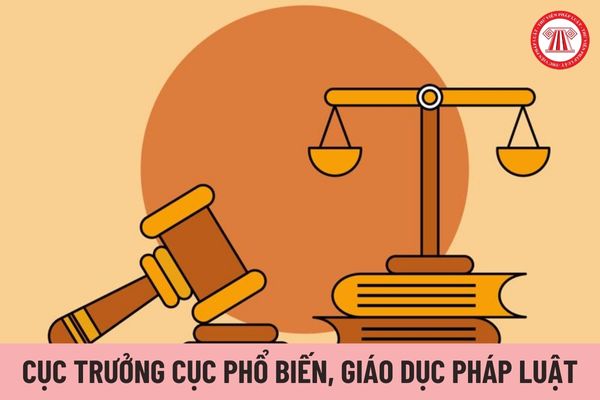 Cục trưởng Cục Phổ biến, giáo dục pháp luật được nhận mức hệ số phụ cấp chức vụ lãnh đạo là bao nhiêu?