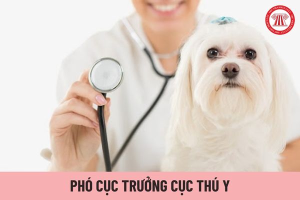 Ai có thẩm quyền bổ nhiệm Phó Cục trưởng Cục Thú y?