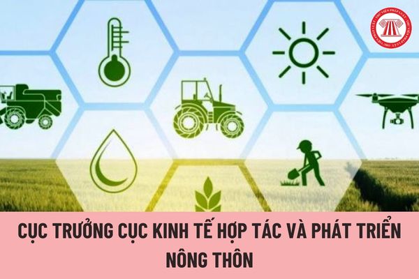 Cục trưởng Cục Kinh tế hợp tác và Phát triển nông thôn chịu trách nhiệm trước ai?