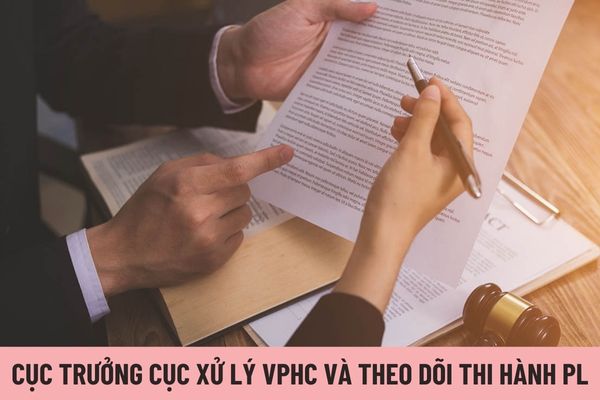 Cục trưởng Cục Quản lý xử lý vi phạm hành chính và theo dõi thi hành pháp luật được nhận mức hệ số phụ cấp chức vụ lãnh đạo là bao nhiêu?