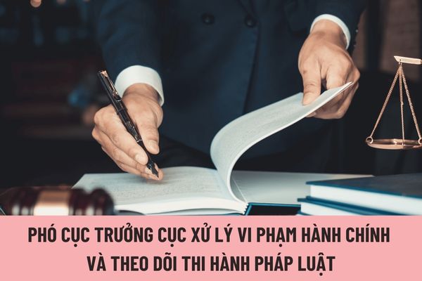 Hệ số phụ cấp chức vụ lãnh đạo của Phó Cục trưởng Cục Quản lý xử lý vi phạm hành chính và theo dõi thi hành pháp luật được nhận là bao nhiêu?