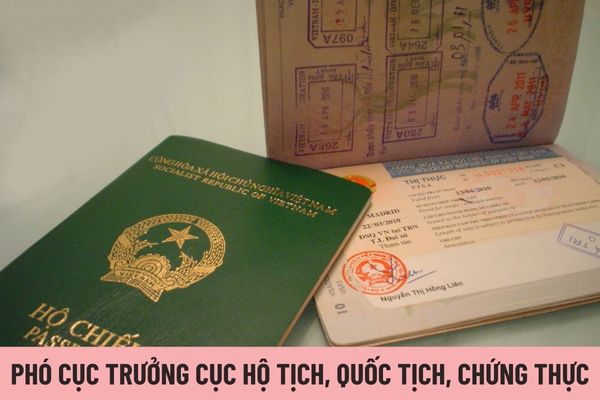 Mức hệ số phụ cấp chức vụ lãnh đạo của Phó Cục trưởng Cục Hộ tịch, quốc tịch, chứng thực được nhận là bao nhiêu?