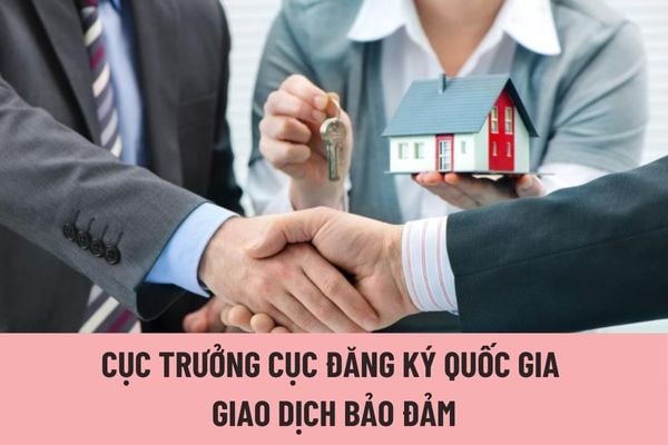 Cục trưởng Cục Đăng ký quốc gia giao dịch bảo đảm được nhận mức hệ số phụ cấp chức vụ lãnh đạo là bao nhiêu?