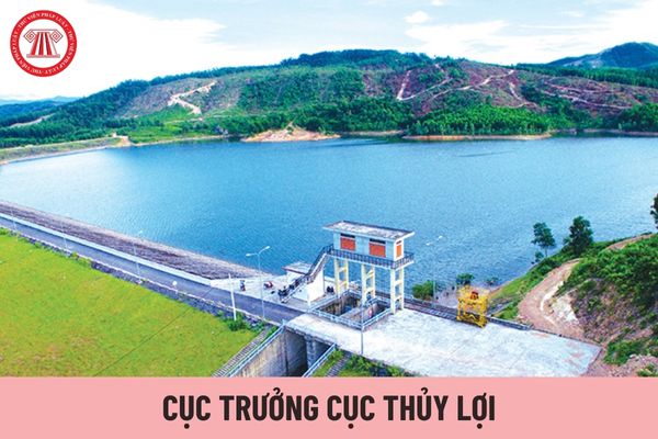 Cục trưởng Cục Thủy lợi có trách nhiệm gì?