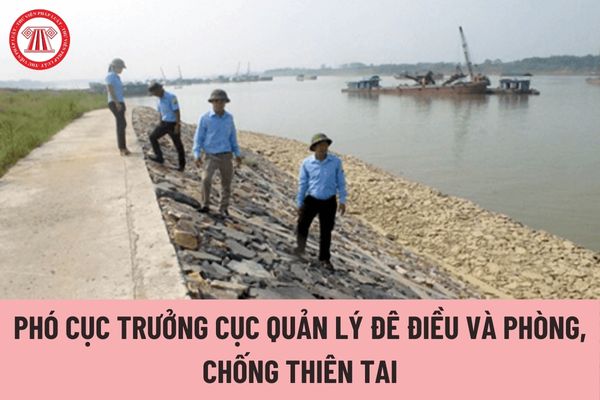 Ai có thẩm quyền bổ nhiệm Phó Cục trưởng Cục Quản lý đê điều và Phòng, chống thiên tai?