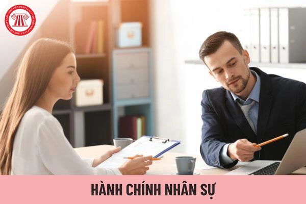 Hành chính nhân sự là gì? Hành chính nhân sự là làm những gì?