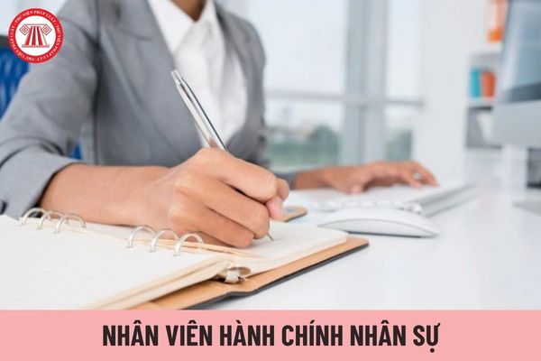 Nhân viên hành chính nhân sự là gì? Kỹ năng cần thiết để làm nhân viên hành chính nhân sự là gì?