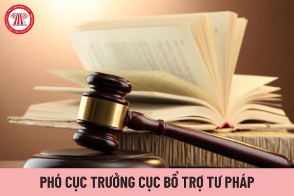 Hệ số phụ cấp chức vụ lãnh đạo của Phó Cục trưởng Cục Bổ trợ tư pháp được nhận là bao nhiêu?