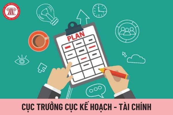 Cục trưởng Cục Kế hoạch - Tài chính thuộc Bộ Tư pháp được nhận mức hệ số phụ cấp chức vụ lãnh đạo là bao nhiêu?