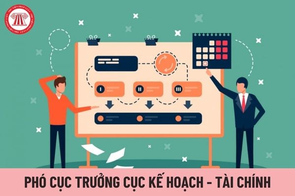 Hệ số phụ cấp chức vụ lãnh đạo của Phó Cục trưởng Cục Kế hoạch - Tài chính thuộc Bộ Tư pháp được nhận là bao nhiêu?