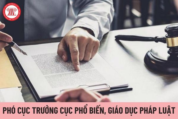 Có bao nhiêu Phó Cục trưởng Cục Phổ biến, giáo dục pháp luật?