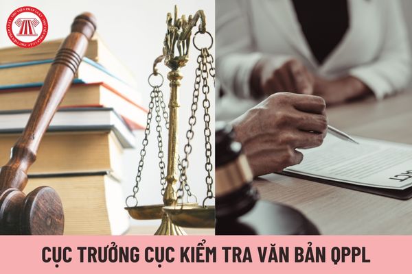 Cục trưởng Cục Kiểm tra văn bản quy phạm pháp luật chịu trách nhiệm trước ai?