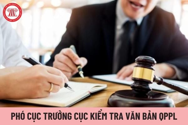 Có tối đa bao nhiêu Phó Cục trưởng Cục Kiểm tra văn bản quy phạm pháp luật?