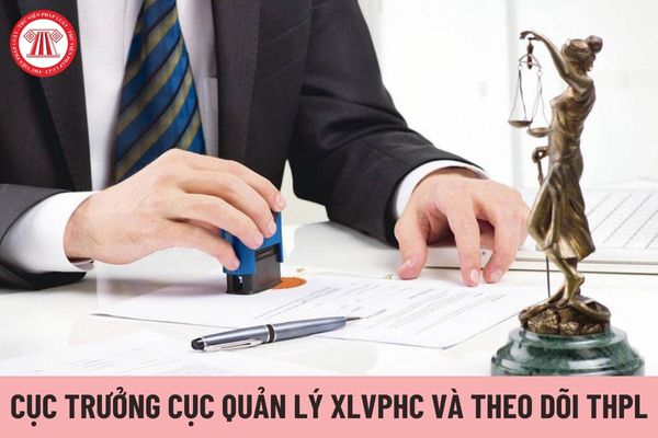 Cục trưởng Cục Quản lý xử lý vi phạm hành chính và theo dõi thi hành pháp luật chịu trách nhiệm trước ai?