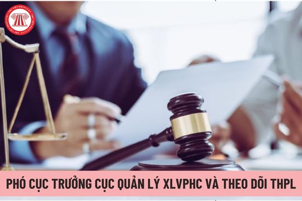 Có tối đa bao nhiêu Phó Cục trưởng Cục Quản lý xử lý vi phạm hành chính và theo dõi thi hành pháp luật?