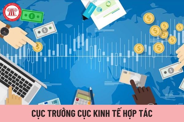 Cục trưởng Cục Kinh tế hợp tác thuộc Bộ KHĐT được nhận mức hệ số phụ cấp chức vụ lãnh đạo là bao nhiêu?